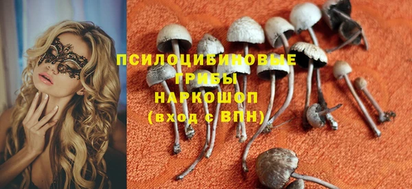 МДМА Белокуриха